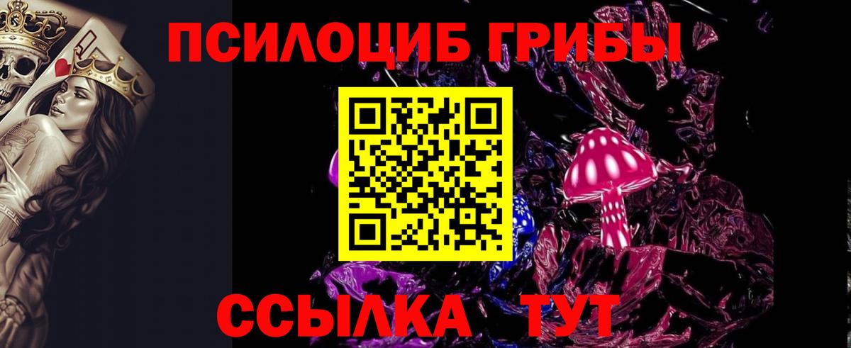 Галлюциногенные грибы Psilocybine cubensis  Галлюциногенные грибы Magic Shrooms  где можно купить   Лыткарино  Вход с VPN 